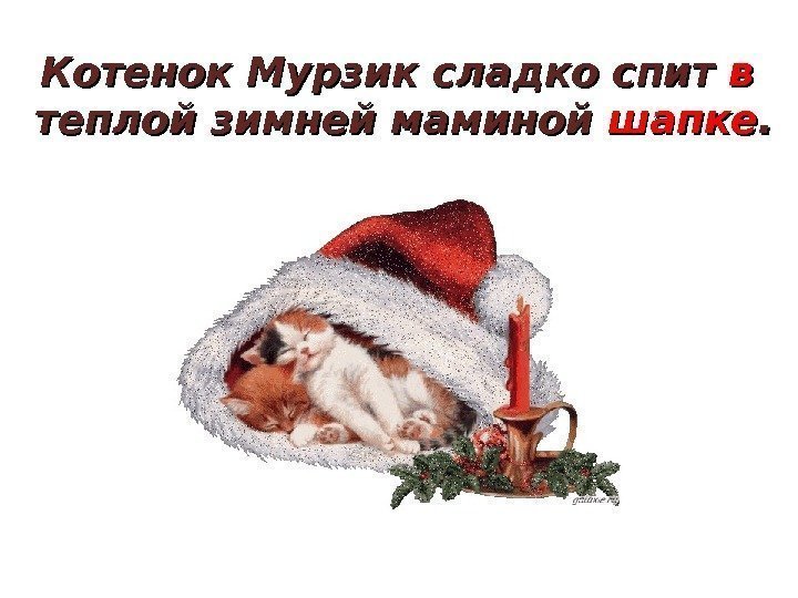 Котенок Мурзик сладко спит вв  теплой зимней маминой шапке. . 