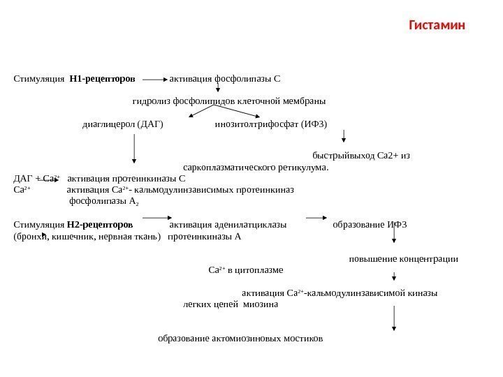       Стимуляция  Н 1 -рецепторов   