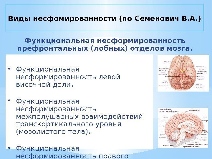 Виды несфомированности (по Семенович В. А. ) Функциональная несформированность префронтальных (лобных) отделов мозга. 