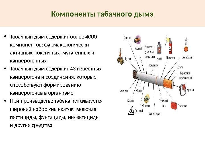 Компоненты табачного дыма • Табачный дым содержит более 4000 компонентов: фармакологически активных, токсичных, мутагенных