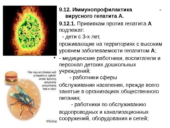  • 9. 12. Иммунопрофилактика    -   вирусного гепатита А.
