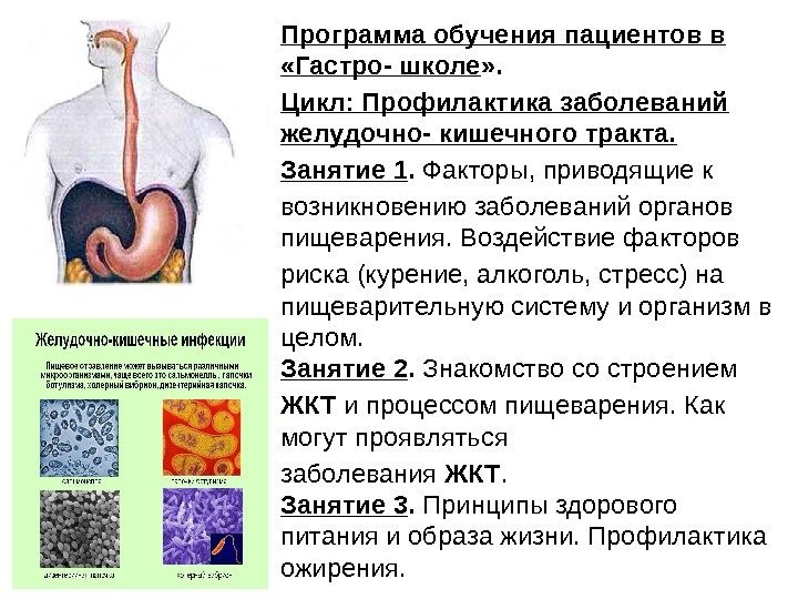 Жкт группа. Заболевания пищеварительного тракта. Заболевания органов ЖКТ. Профилактика заболеваний ЖКТ. Хронические болезни желудочно-кишечного тракта.