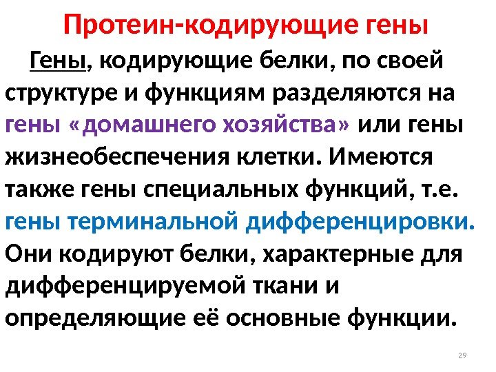 Белок кодирующие