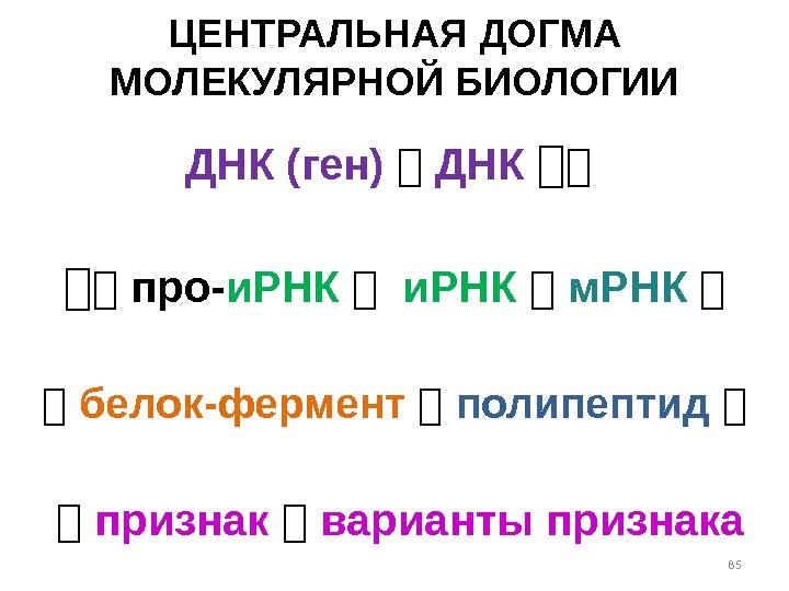 ЦЕНТРАЛЬНАЯ ДОГМА МОЛЕКУЛЯРНОЙ БИОЛОГИИ 85 ДНК (ген) ДНК  про- и. РНК м. РНК