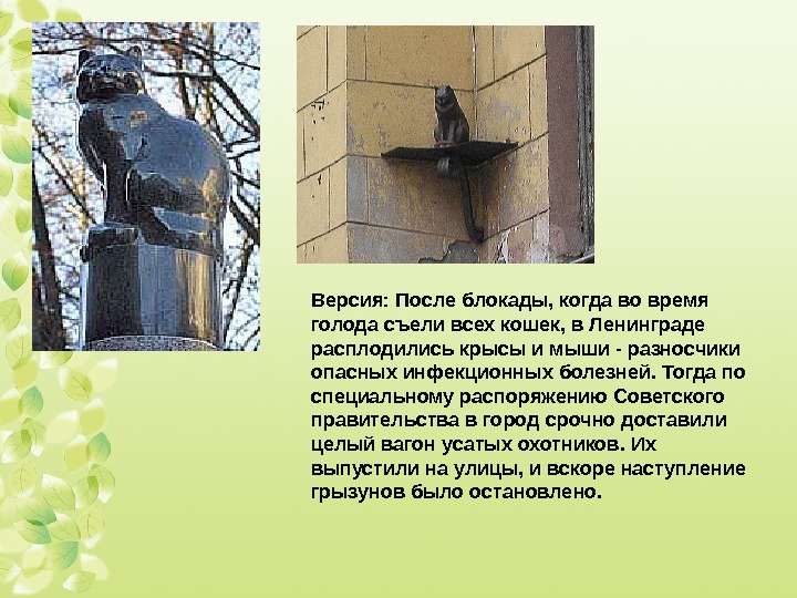 Версия: После блокады, когда во время голода съели всех кошек, в Ленинграде расплодились крысы