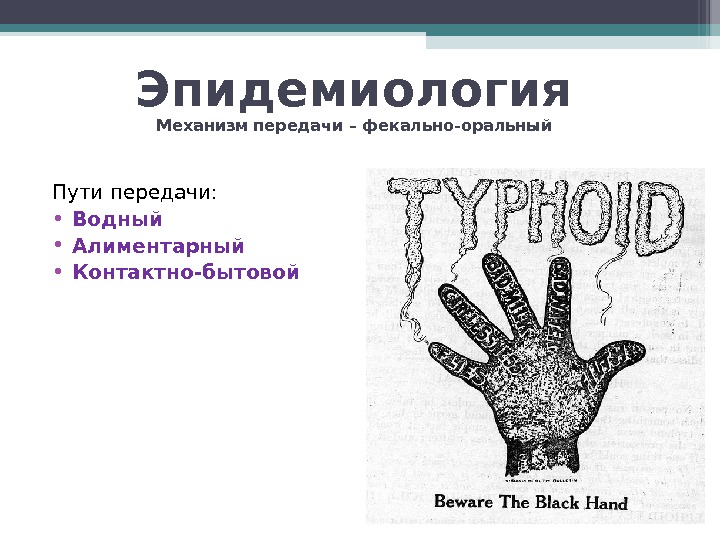 Эпидемиология Механизм передачи – фекально-оральный Пути передачи:  • Водный • Алиментарный • Контактно-бытовой