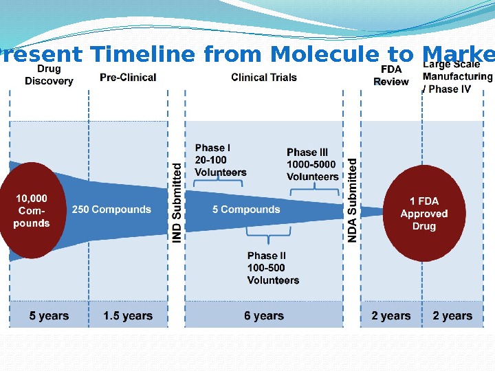  Present Timeline from Molecule to Market 