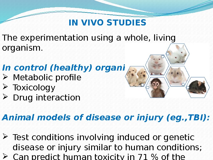 The experimentation using a whole, living organism. In control (healthy) organism:  Metabolic profile