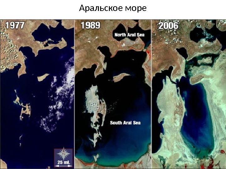 Аральское море 