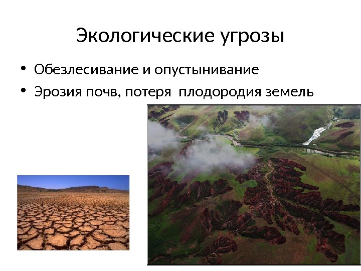 Экологические угрозы • Обезлесивание и опустынивание • Эрозия почв, потеря плодородия земель 