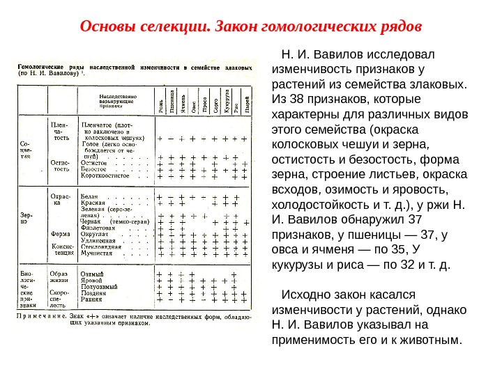 Н. И. Вавилов исследовал изменчивость признаков у растений из семейства злаковых.  Из 38