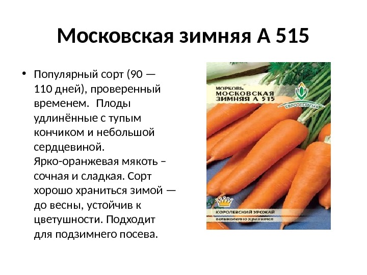 Московская зимняя А 515 • Популярный сорт (90 — 110 дней), проверенный временем. 