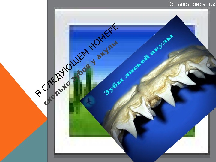 Вставка рисунка. В С Л Е Д У Ю Щ Е М Н О
