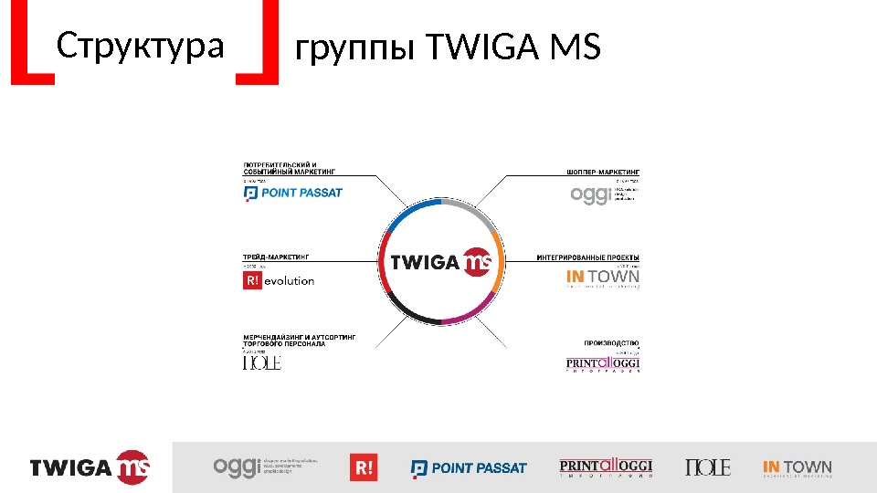 Структура группы TWIGA MS  