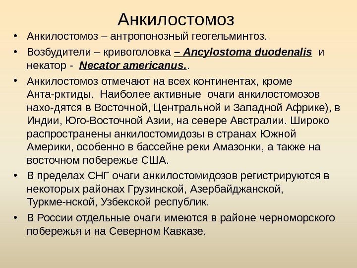 Анкилостомоз • Анкилостомоз – антропонозный геогельминтоз.  • Возбудители – кривоголовка – Ancylostoma duodenalis