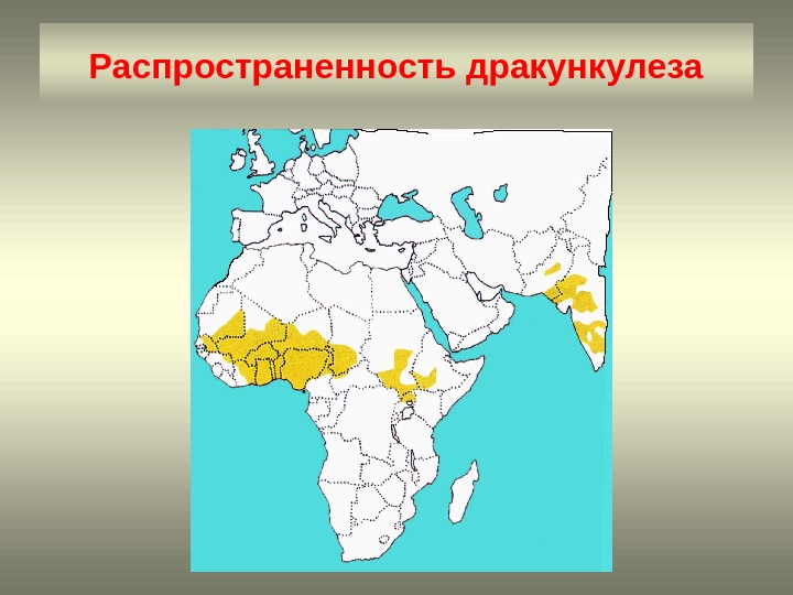 Распространенность дракункулеза 