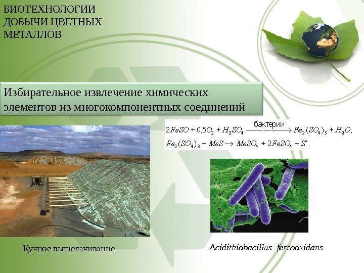 Проблемы биотехнологии в экологическом плане