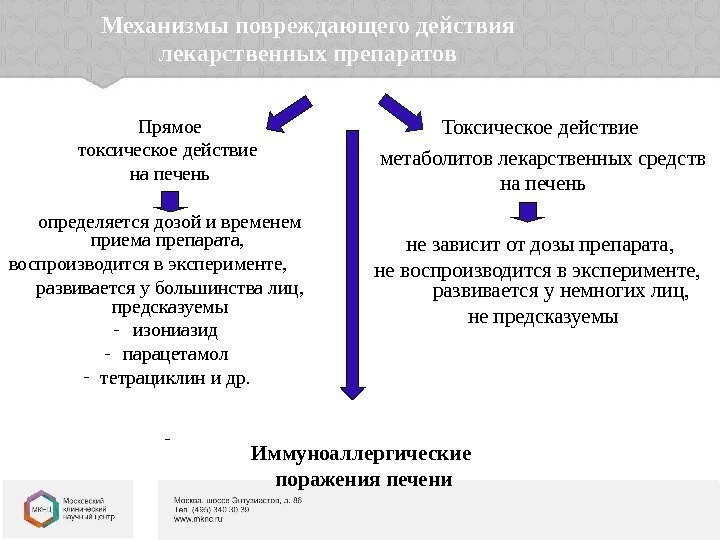 Механизмы повреждающего действия лекарственных препаратов Прямое токсическое действие на печень определяется дозой и временем