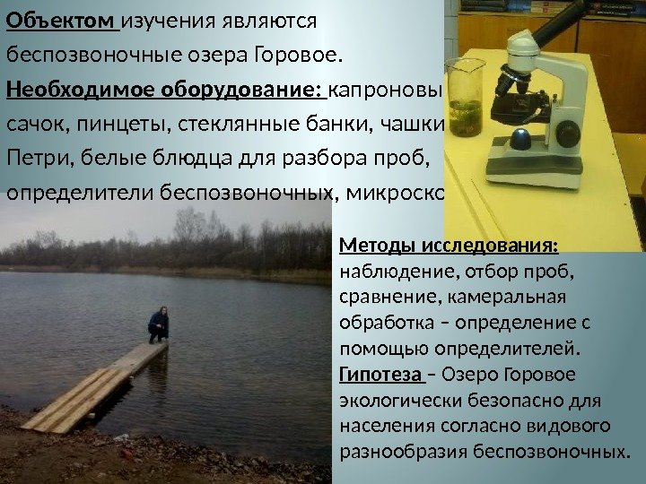 Объектом изучения являются беспозвоночные озера Горовое. Необходимое оборудование:  капроновый сачок, пинцеты, стеклянные банки,