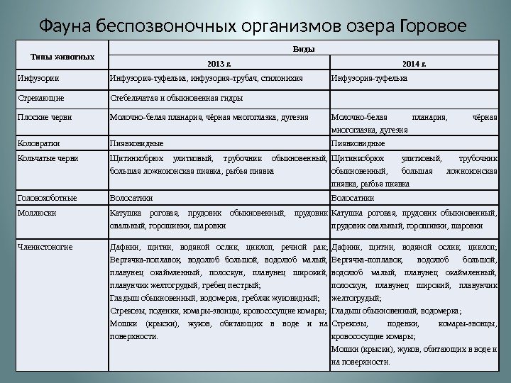 Фауна беспозвоночных организмов озера Горовое Типы животных Виды 2013 г. 2014 г. Инфузории Инфузория-туфелька,