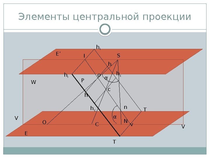 Элементы центральной проекции E E’ P T Th i W V VI S v.