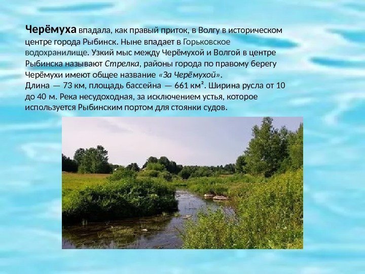 Черёмуха впадала, как правый приток, в Волгу в историческом центре города Рыбинск. Ныне впадает