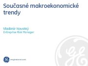 Současné makroekonomické trendy Vladimír Novotný Entreprise Risk Manager