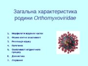 Загальна характеристика родини Orthomyxoviridae 1. Морфологія вірусних часток