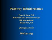 Pathway Bioinformatics Peter D Karp Ph D Bioinformatics