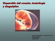 Desarrollo del corazón teratología y diagnóstico Optativa Embriología