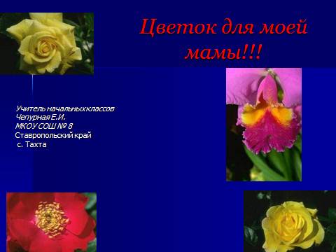 Презентация Цветок для мамы