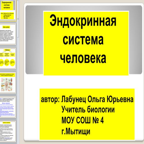 Презентация Эндокринная система человека