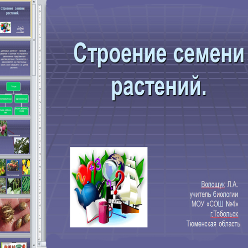 Презентация Строение семени