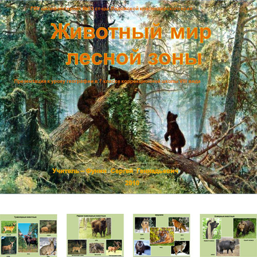 Презентация Животный мир леса