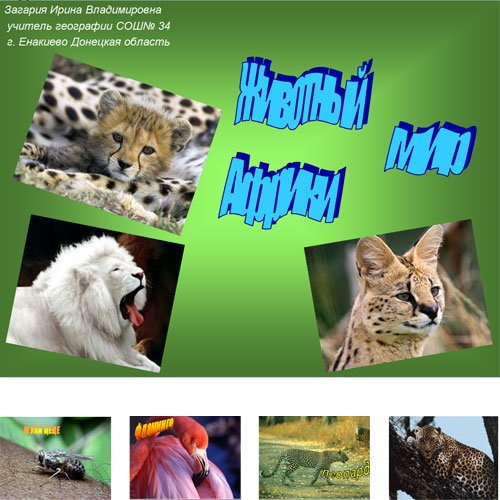 Презентация Животные Африки