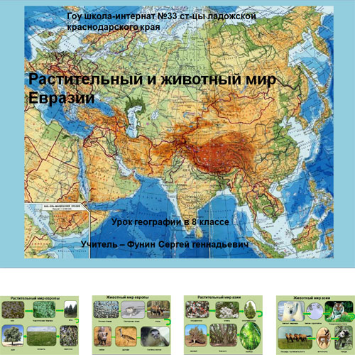 Презентация Евразия животные растения