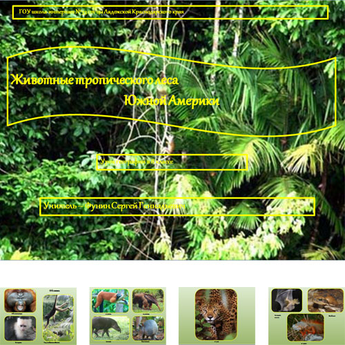 Презентация Животный мир Южной Америки