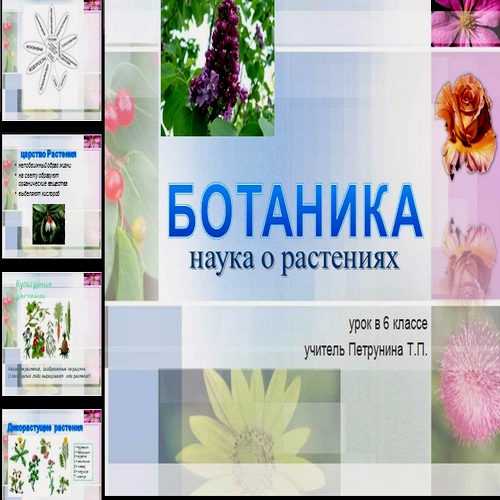 Презентация Ботаника
