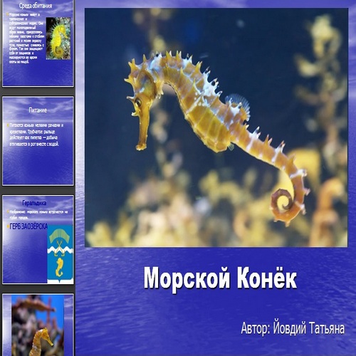 Презентация Морской конек