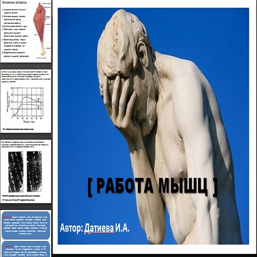 Презентация Работа мышц