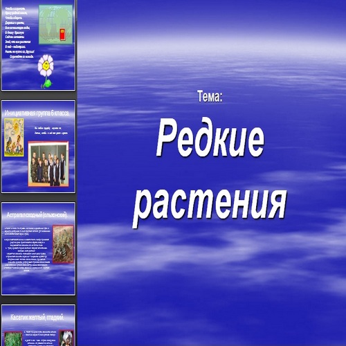 Презентация Редкие растения