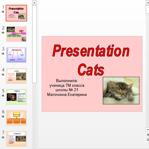 Презентация Cats