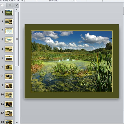 Презентация Болото