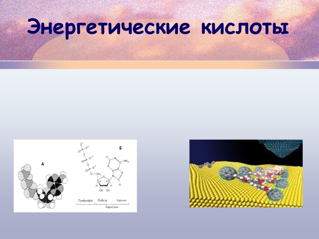 Энергетическая кислота. Энергетической кислотой является.