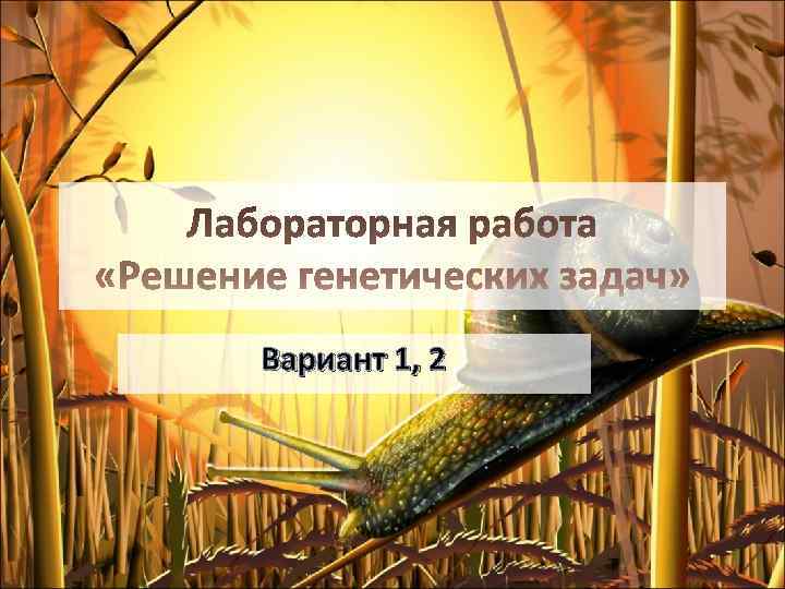 Симпатичная чикса с родительницей занимается свальным грехом на кастинге со съемочной группой онлайн