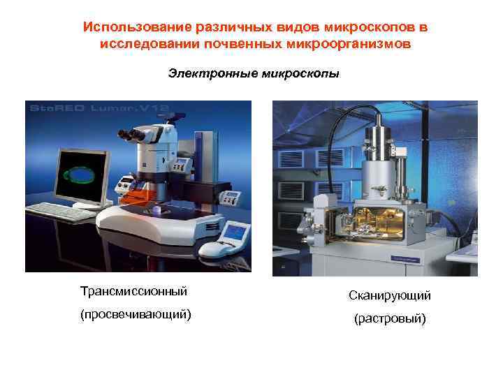 Виды Микроскопов Фото