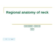 SDU.  LIZHENHUARegional anatomy of neck 山山山山山山山