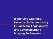 Identifying Choroidal Neovascularization Using Fluorescein Angiography and Complementary