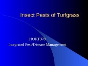 Insect Pests of Turfgrass HORT 378 Integrated Pest/Disease