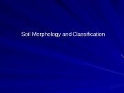 Soil Morphology and  Classification  E horizon.